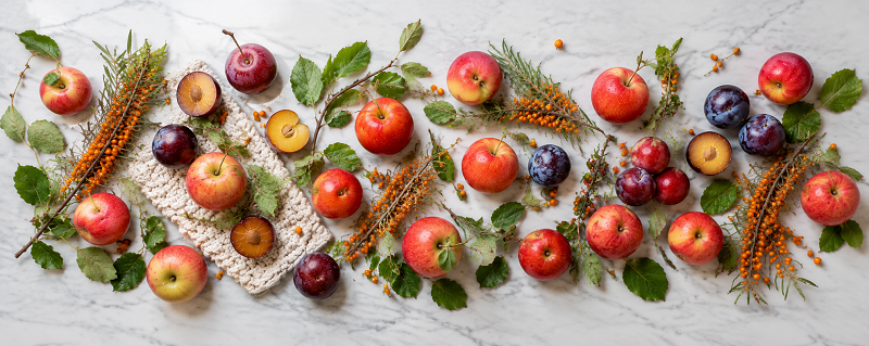 Opskrifter